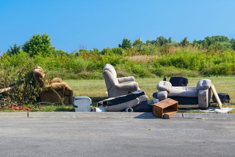Couch Disposal in Madison, WI